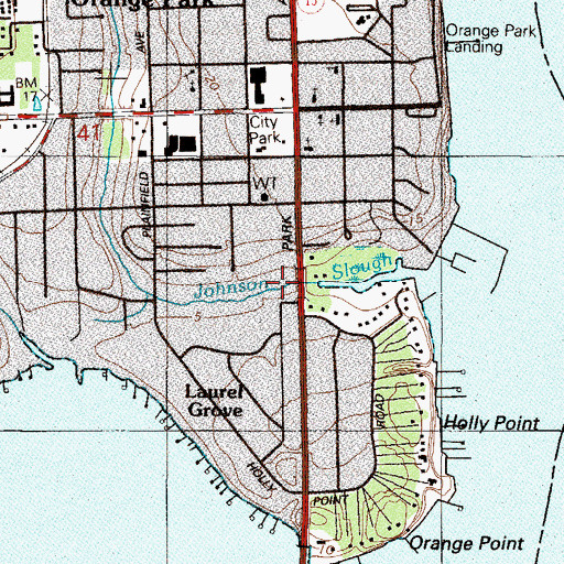 Topographic Map of Johnson Slough, FL