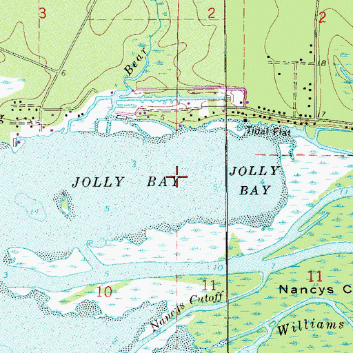Topographic Map of Jolly Bay, FL