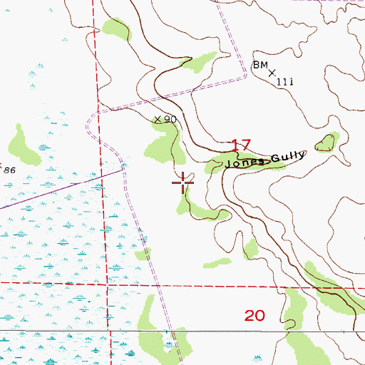 Topographic Map of Jones Gully, FL