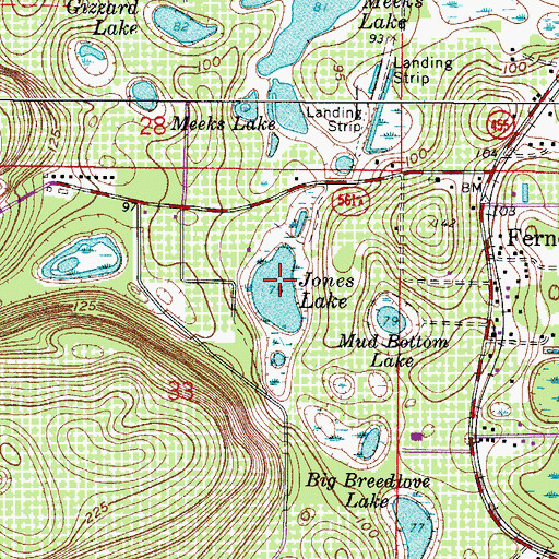 Topographic Map of Jones Lake, FL