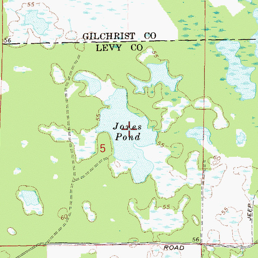 Topographic Map of Jones Pond, FL