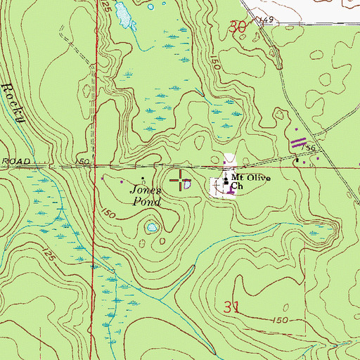 Topographic Map of Jones Pond, FL