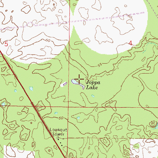 Topographic Map of Joppa Lake, FL