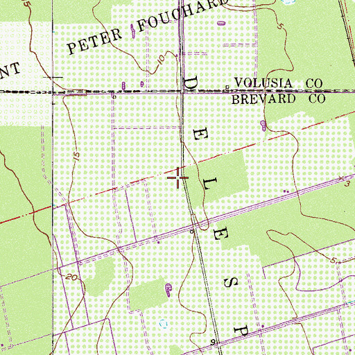 Topographic Map of Joseph Delespine Grant, FL