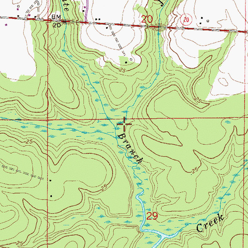 Topographic Map of Joyce Branch, FL
