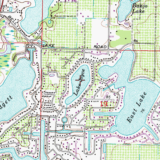 Topographic Map of Lake Joyce, FL