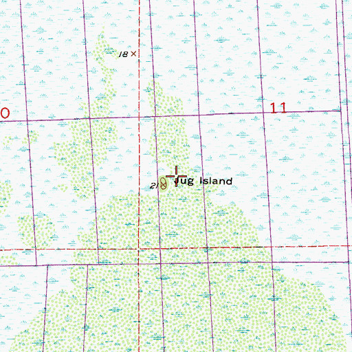 Topographic Map of Jug Island, FL