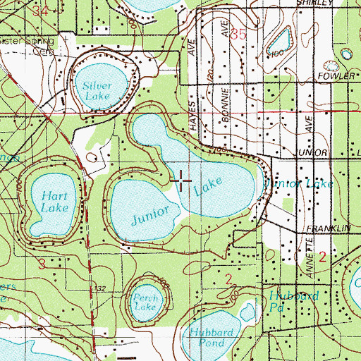 Topographic Map of Junior Lake, FL