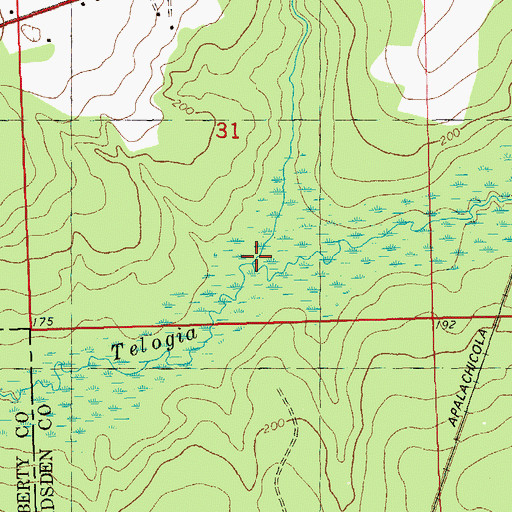 Topographic Map of Juniper Branch, FL