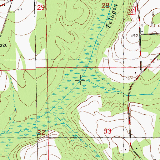 Topographic Map of Juniper Creek, FL