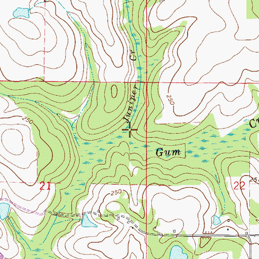 Topographic Map of Juniper Creek, FL