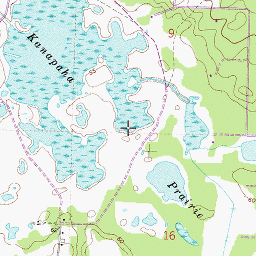 Topographic Map of Kanapaha Prairie, FL