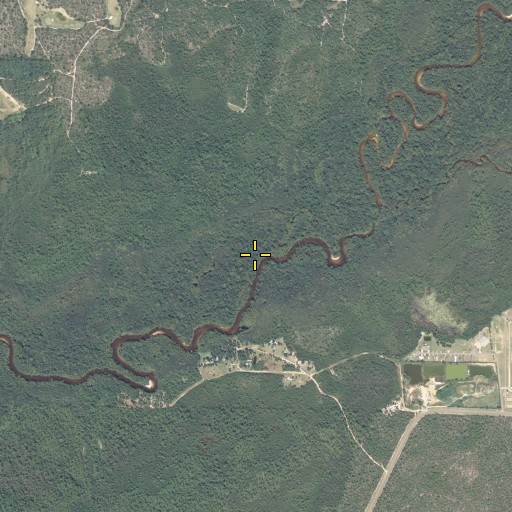 Aerial/Satellite Image of King Branch, FL