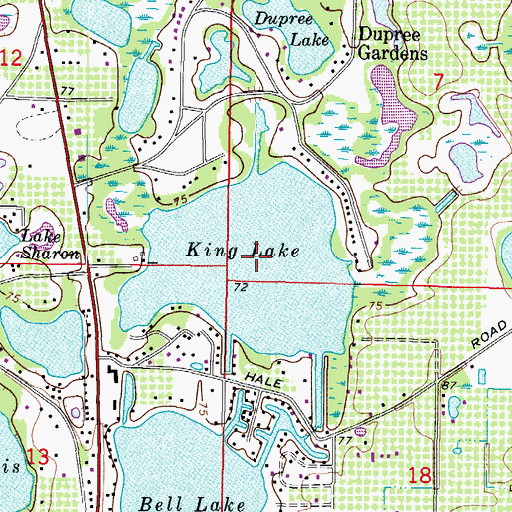 Topographic Map of King Lake, FL