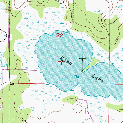 Topographic Map of King Lake, FL