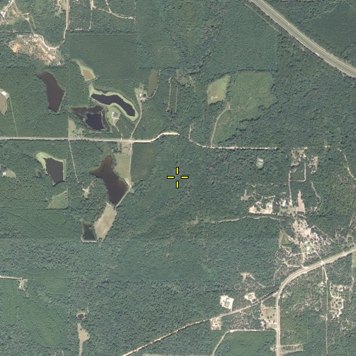 Aerial/Satellite Image of Kiser Branch, FL