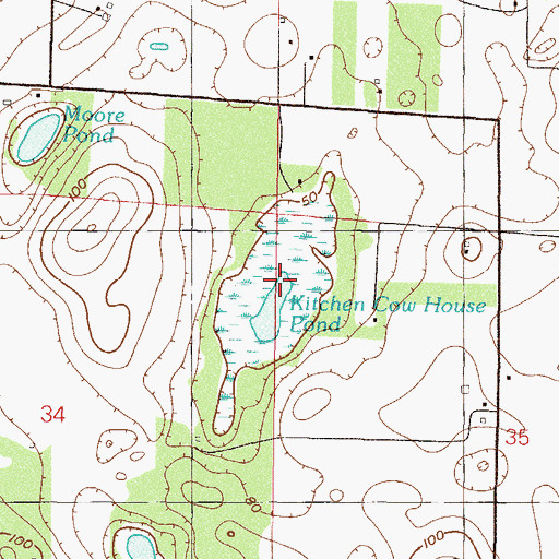 Topographic Map of Kitchen Cow House Pond, FL