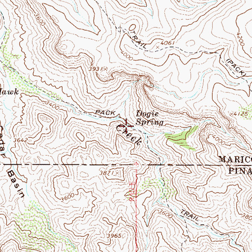 Topographic Map of Dogie Spring, AZ