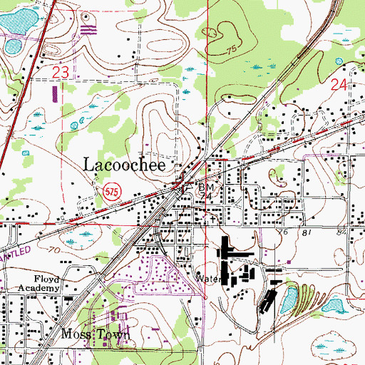 Topographic Map of Lacoochee, FL