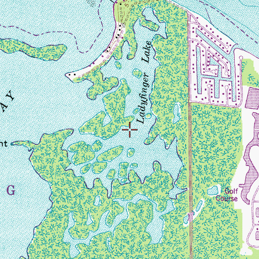 Topographic Map of Ladyfinger Lake, FL