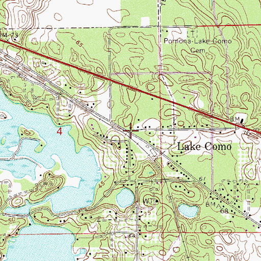 Topographic Map of Lake Como, FL