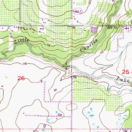 Topographic Map of Lake Dale Branch, FL