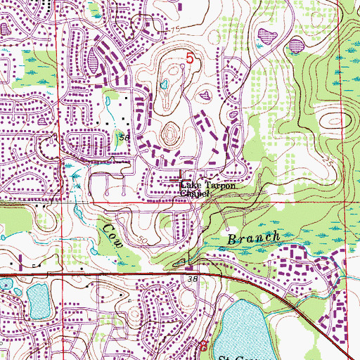 Topographic Map of Lake Tarpon Chapel, FL