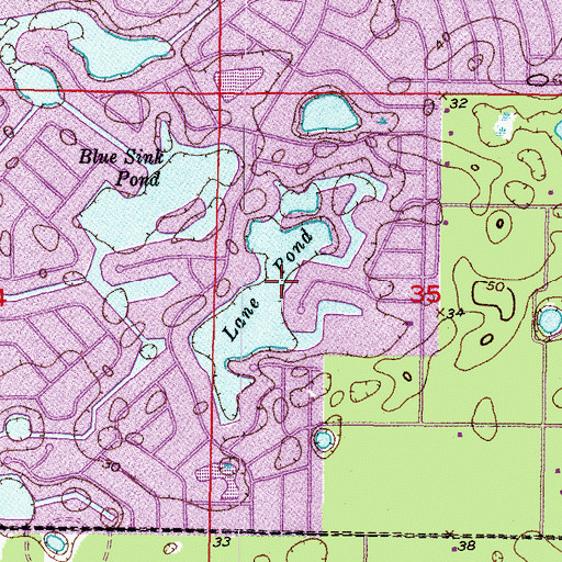 Topographic Map of Lane Pond, FL