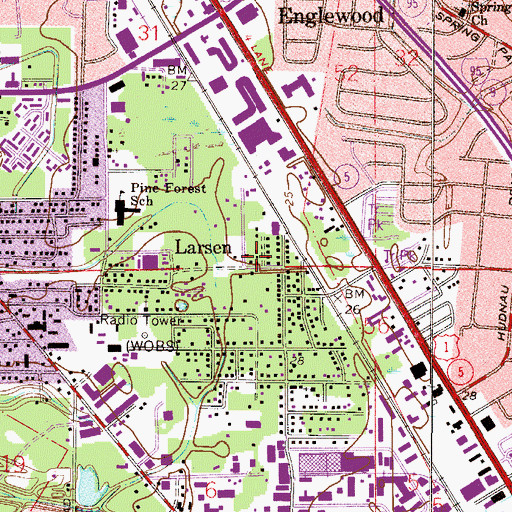 Topographic Map of Larsen, FL