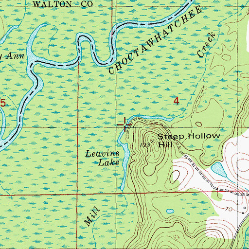 Topographic Map of Leavins Lake, FL