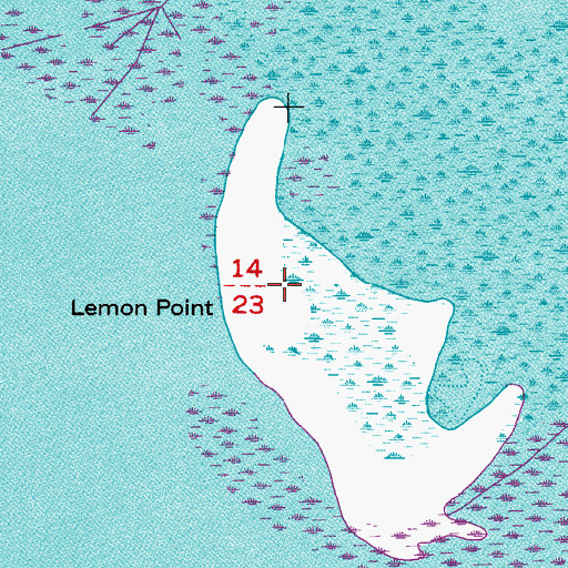 Topographic Map of Lemon Point, FL