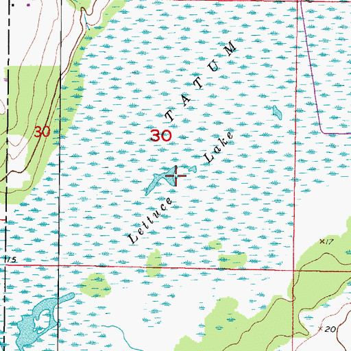 Topographic Map of Lettuce Lake, FL