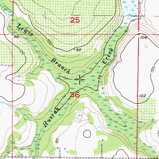Topographic Map of Lewis Branch, FL