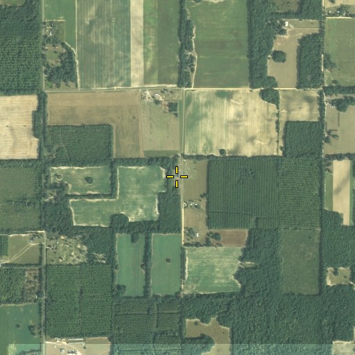 Aerial/Satellite Image of Liberty Hill School (historical), FL