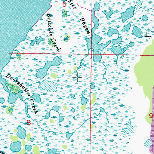 Topographic Map of Lighter Bayou, FL
