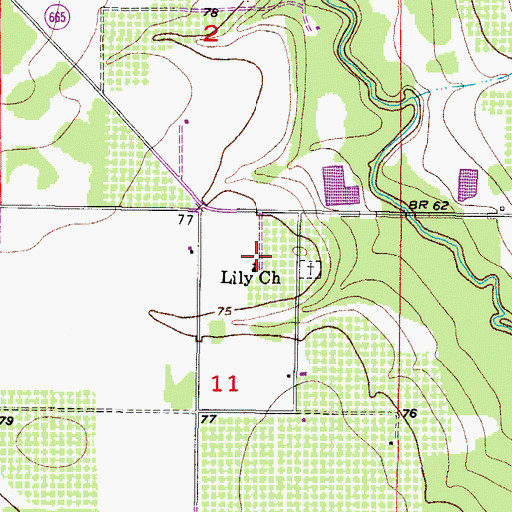 Topographic Map of Lily Church, FL