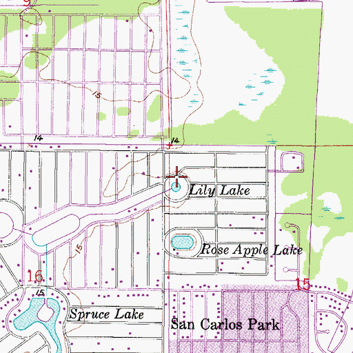 Topographic Map of Lily Lake, FL