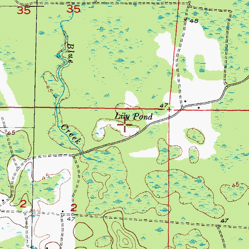 Topographic Map of Lily Pond, FL