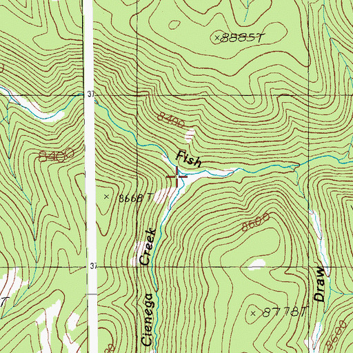 Topographic Map of Double Cienega Creek, AZ