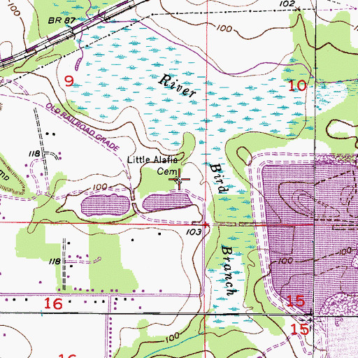 Topographic Map of Little Alafia Cemetery, FL