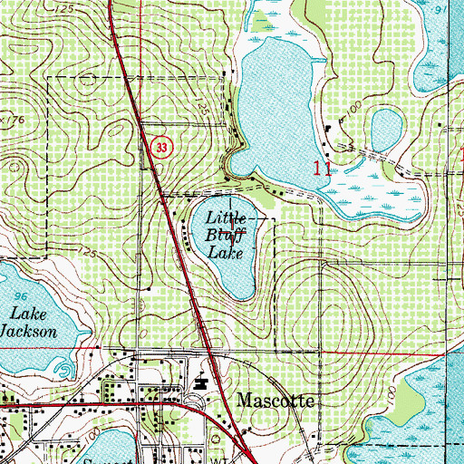 Topographic Map of Little Bluff Lake, FL