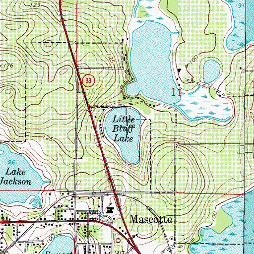 Topographic Map of Little Bluff Lake, FL