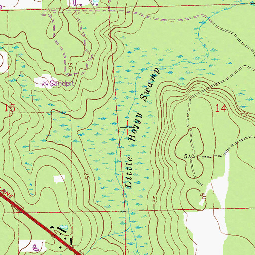 Topographic Map of Little Boggy Swamp, FL