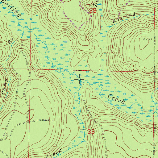 Topographic Map of Little Boiling Creek, FL