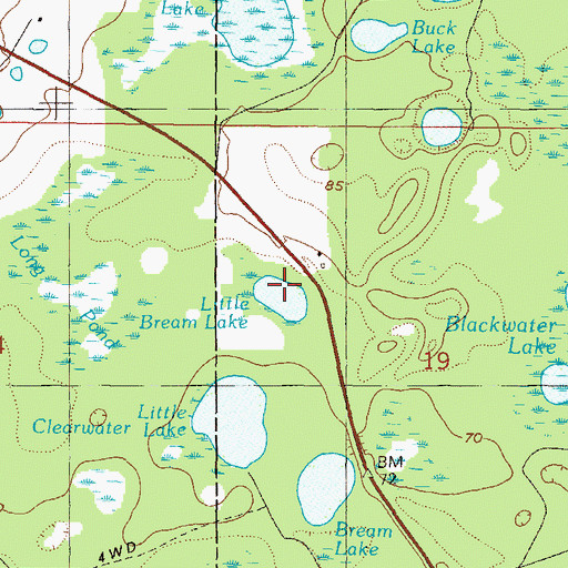 Topographic Map of Little Bream Lake, FL