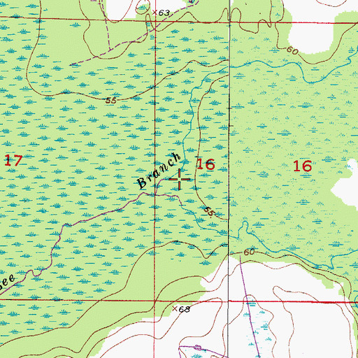 Topographic Map of Little Charley Bowlegs Creek, FL