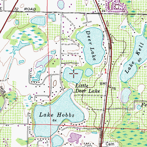 Topographic Map of Little Deer Lake, FL