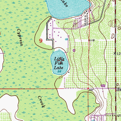 Topographic Map of Little Fish Lake, FL
