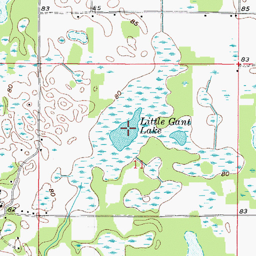 Topographic Map of Little Gant Lake, FL