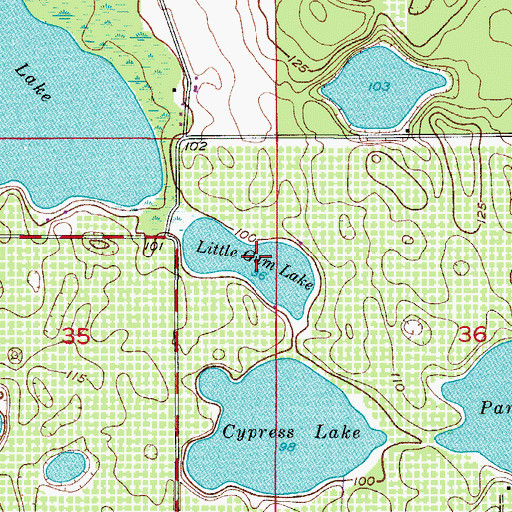Topographic Map of Little Gum Lake, FL